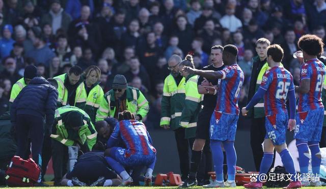 关于水晶宫中场核心受伤，影响球队发挥的信息